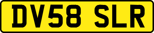 DV58SLR