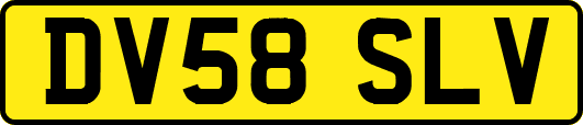 DV58SLV