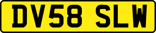 DV58SLW