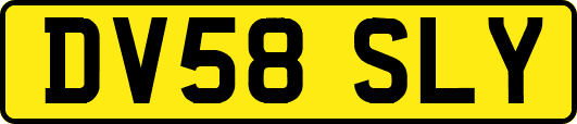DV58SLY