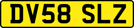 DV58SLZ