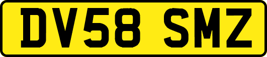 DV58SMZ
