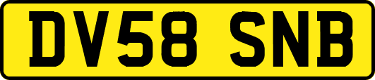 DV58SNB