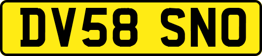 DV58SNO