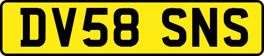 DV58SNS