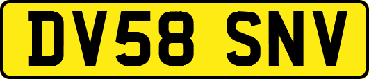 DV58SNV