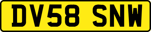 DV58SNW