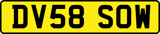 DV58SOW