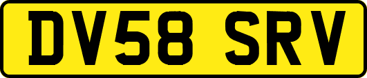 DV58SRV