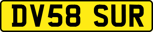 DV58SUR