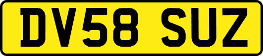 DV58SUZ