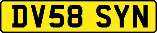 DV58SYN
