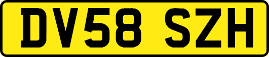 DV58SZH
