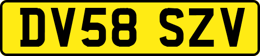 DV58SZV
