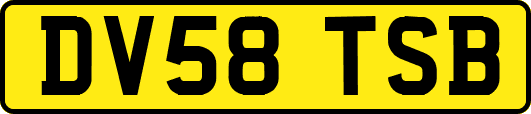 DV58TSB