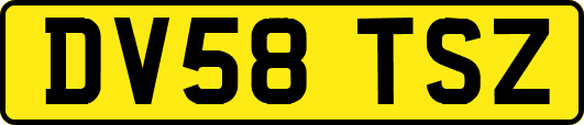 DV58TSZ