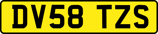 DV58TZS