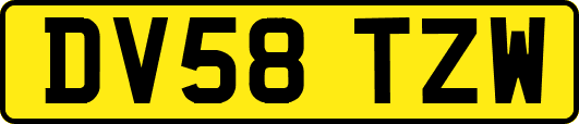 DV58TZW