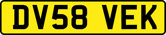 DV58VEK