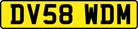 DV58WDM