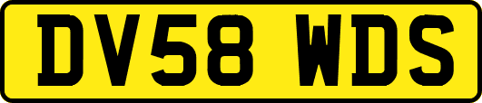 DV58WDS
