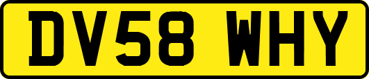 DV58WHY