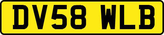 DV58WLB