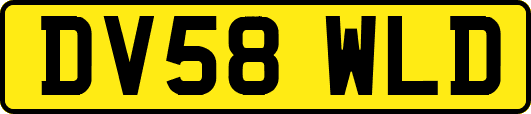 DV58WLD