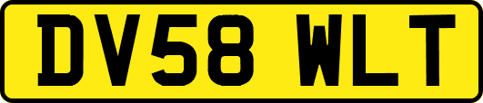 DV58WLT