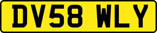 DV58WLY