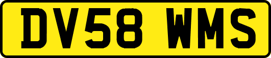 DV58WMS