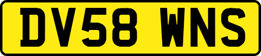 DV58WNS
