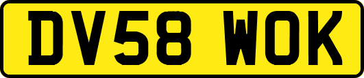 DV58WOK