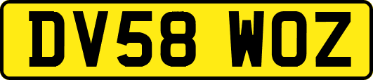 DV58WOZ