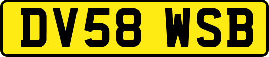 DV58WSB