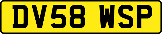DV58WSP