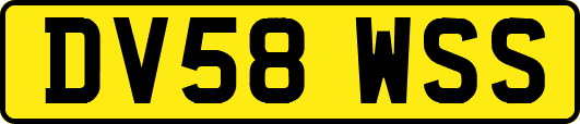 DV58WSS