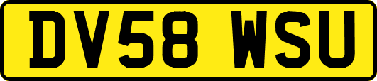 DV58WSU
