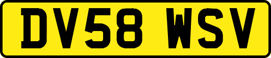DV58WSV
