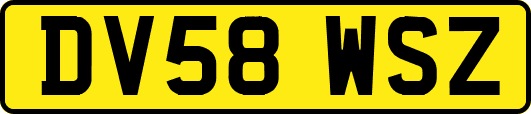 DV58WSZ