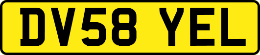 DV58YEL