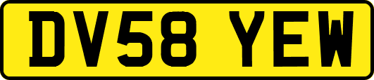 DV58YEW
