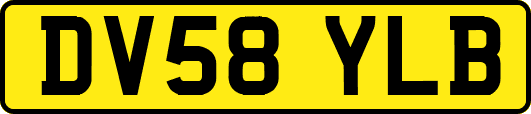 DV58YLB