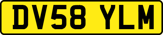 DV58YLM
