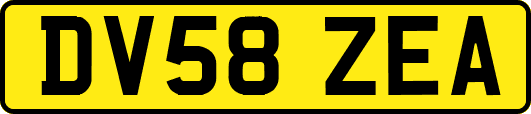 DV58ZEA