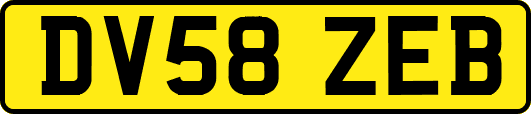 DV58ZEB