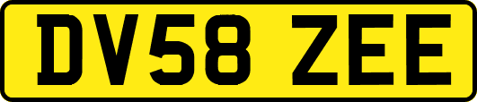DV58ZEE