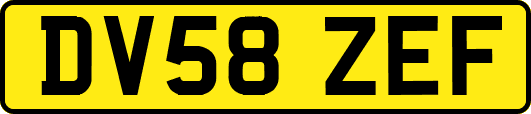 DV58ZEF