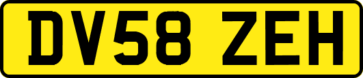 DV58ZEH