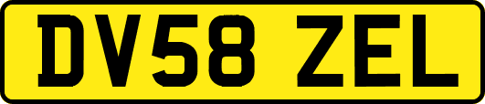 DV58ZEL
